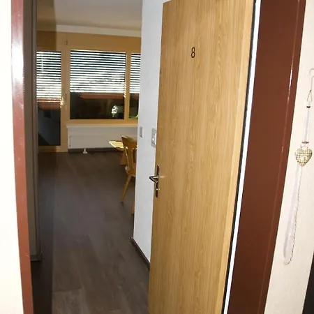 Schwarzhorn 8 Apartment