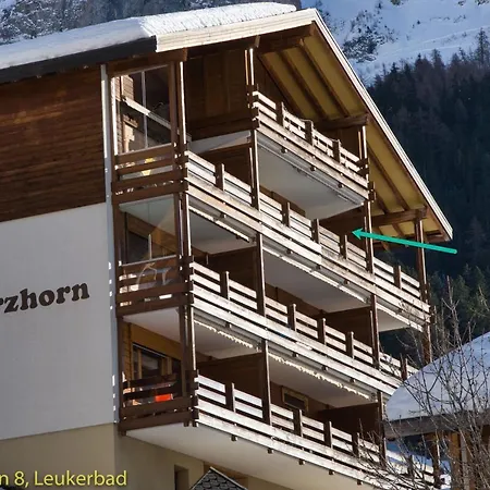 Apartment Schwarzhorn 8